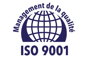 Accompagnement à la norme ISO 9001 V2015/Formation/Audit 